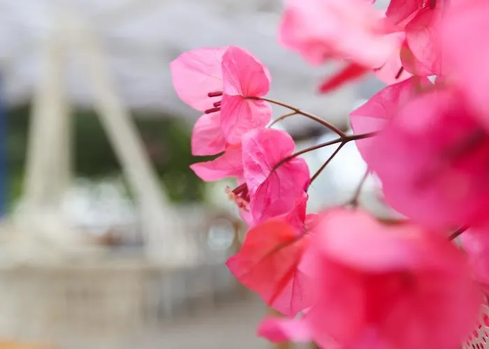 Szálloda Melek Bozburun