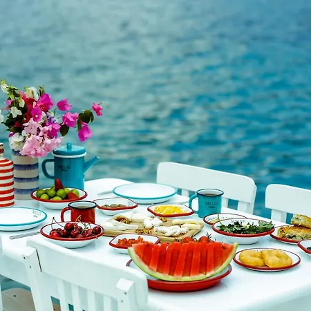 Hotel Melek