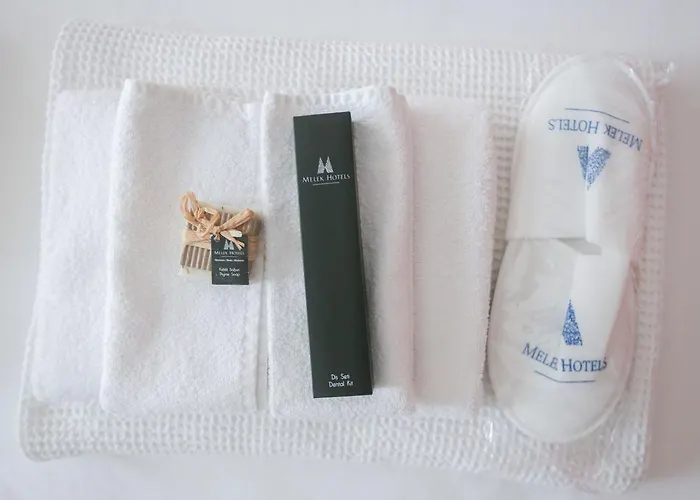 Melek فندق بوزبورون