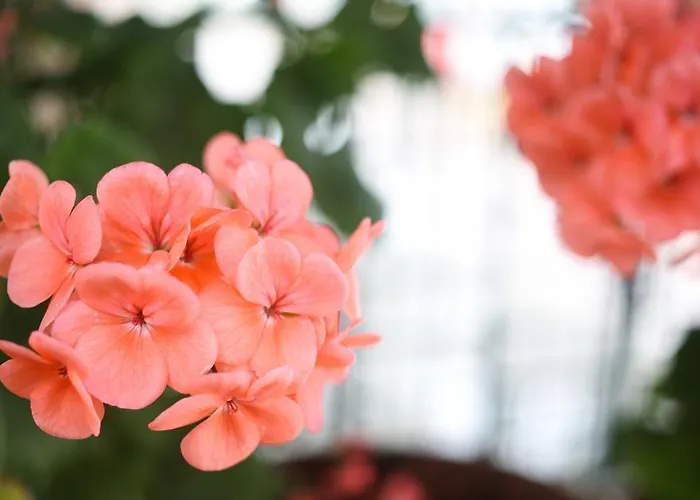 Hotel Melek Bozburun